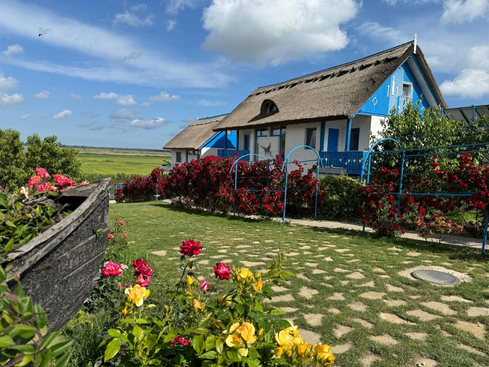 Nena Art Resort Дунавецу-де-Жос Екстер'єр фото